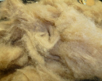 Camel Wool Dehaired 16 Micron Washed One Pound
