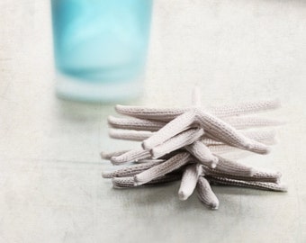 Starfish Still Life - 8x10 Fine Art Photograph