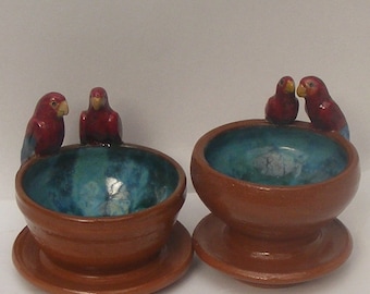 SALE Two Bird Bowls, Blue Red parrots on Terracotta turquoise bowls