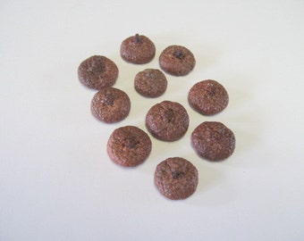 Natural Acorn Tops - Set of 10 - 1 inch