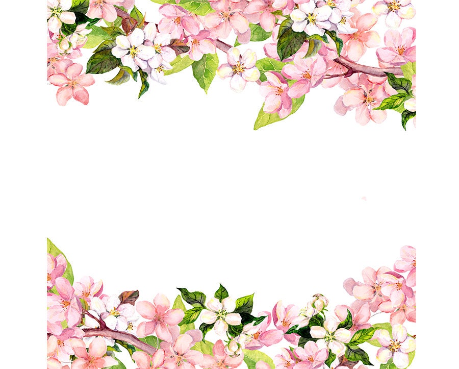 Watercolour Sakura Flower Frame Border Clip Art Graphic Design