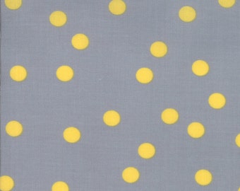 Barcelona Rain Dots in Steel, Brigitte Heitland, Zen Chic, Moda Fabrics, 100% Cotton Fabric, 1535 19