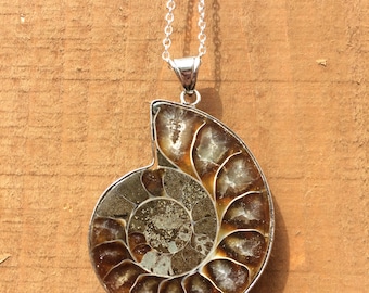 Fossil Ammonite Necklace, silver chain