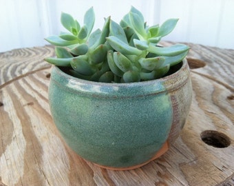 Succulent Planter, Pottery Planter, Pottery Cup