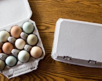 10 Vintage Style Full Dozen Egg Cartons - Blank Top - 4x3 Egg Cartons Hold 12 Eggs