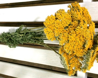 DRIED FLOWERS bunch yellow/gold YARROW Flowers Natural Fragrant Flower Bouquet Wedding Flowers Country Shabby Chic Shower Floral Supplies