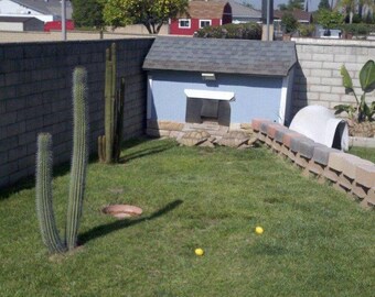 Custom heated Tortoise house / Enclosure