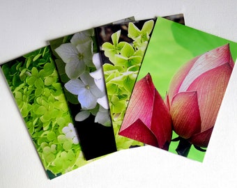 Flower art photographs. Modern floral /nature postcard set. Green, white, pink. Frame-able, affordable original photography prints