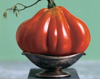 VTH) CHARLIE CHAPLIN Tomato~Seeds!!~~~~~Amazing!