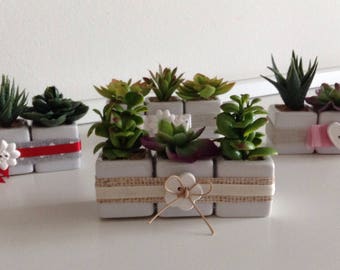 Set 3 Decorative Seedlings