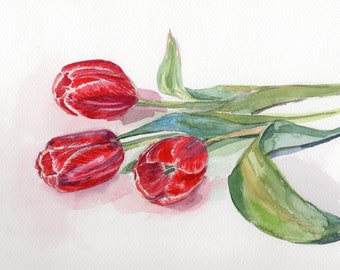 Tulip flower Bouquet Original watercolor painting