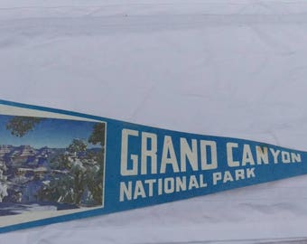 Grand Canyon Banner Pennant