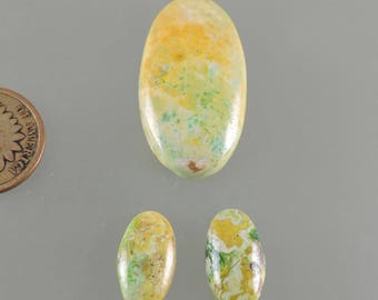 Primavera Cabochon, Springtime Cab, Green and Yellow Cab, Designer Primavera, Hand Cut Primavera, Pendant Cab, Gift Cab, C2294, 49erMinerals