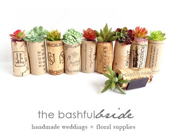 Wedding favors, faux succulent favors, rustic wedding favor, plant favors, shower favor, cheap favor, fridge magnet, cork favors