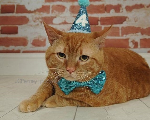 Cat Birthday Hat and Large Bow Tie || Dog Gift || Pet Birthday Party Outfit || Pet Puppy Cat Kitten || Kitty Pig Birthday Crown |