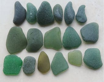 200gms Green Seaglass, Sea Glass Supply, Green Sea Glass, Bulk Sea Glass, Quality Sea Glass, Sea Glass Crafts, Mosaic Supply, Sea Glass
