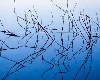 Abstract Wall Art, Abstract Photography, Modern Art, Contemporary Wall Art