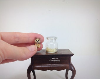 Miniature Dollhouse miniature Author realistic hamster