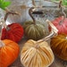 6 Mini Silk Velvet Pumpkins with real Pumpkin Stems and 12 Matching Acorns with real Acorn Caps - #1712