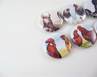7 Rooster and Hen Magnets / Chicken in the Farmyard 1131