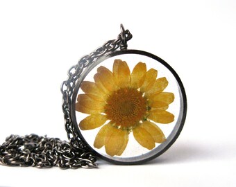 Yellow Daisy Resin Pendant Necklace - Real daisy in open back copper pipe bezel, Pressed Flower Jewelry - Resin Jewelry - Resin Necklace