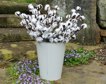 Cotton Stems, Set of 12-20" Natural Cotton Stems, Farmhouse Decor, Cotton Bolls, Cotton Branches, Rustic Wedding Decor, 2nd Anniversary