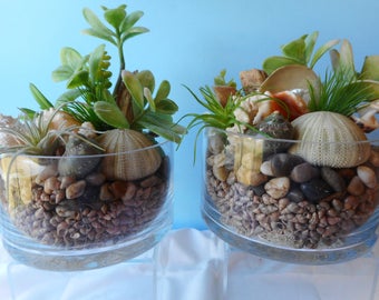 Artificial Succulent SeaShell Cylinders-Floral Arrangement-Beach Arrangement-Faux Succulents