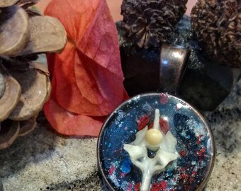 Red and Blue Rattlesnake Vertebra Pendant