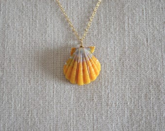 Sunrise Shell Necklace, Gold Filled Chain