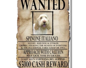 Italian Spinone Wanted Poster Fridge Magnet No 1