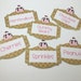 Ice Cream Cone Food Labels - Set of 6 | Food Labels | Candy Buffet Labels | Dessert Bar | Toppings Bar | Food Tags | Place Cards