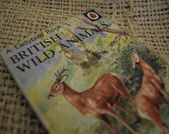 British Wild Animals. A Vintage Ladybird Book. Series 536. 1974