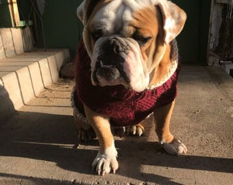 English Bulldog Sweater