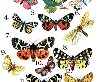 Vintage Butterfly Clip Art Printable Instant Download 12 images