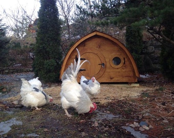 Lightfoot Hobbit Hole Chicken Coop for up to 6 birds; cedar and pine construction, ventilation windows