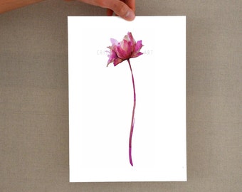 Tulip glicee print ink flower drawing, modern minimal art glicee print, flower wall art decor, floral,artwork,art, original drawing, minimal