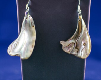 Abalone Earrings