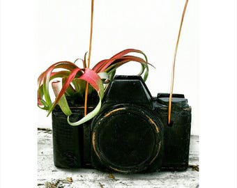 Concrete Camera/Camera Lover/Photographer Gift/Air Plant holder/Camera Decor/Concrete Decor/Photographer Lover/Industrial/photographer gift