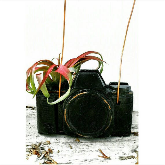 Concrete Camera/Camera Lover/Photographer Gift/Air Plant holder/Camera Decor/Concrete Decor/Photographer Lover/Industrial/photographer gift