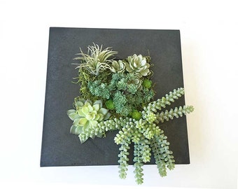 Succulent wall planter, hanging succulent arrangement, faux succulent, vertical garden, wall hanging, hanging planter, wall deco