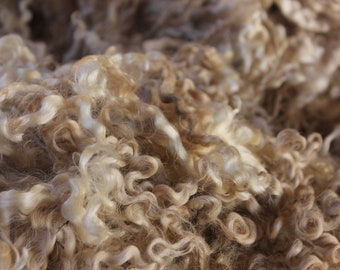 English Leicester raw wool fleeces unwashed - 3kg