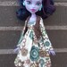 Outfit for Monster High dolls.