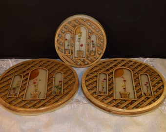 Acrylic Lucite Dried Flowers Trivet Set Vintage 3 Hot Pads Resin Floral Country Kitchen Trivet Farmhouse Kitchen Decor Gift for Her Mom