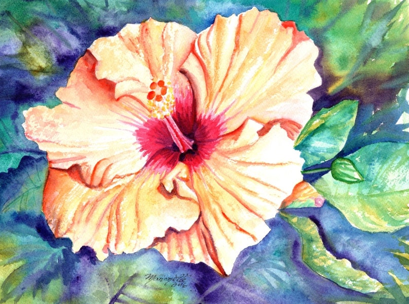 hibiscus paintings flower watercolor art tropical flowers