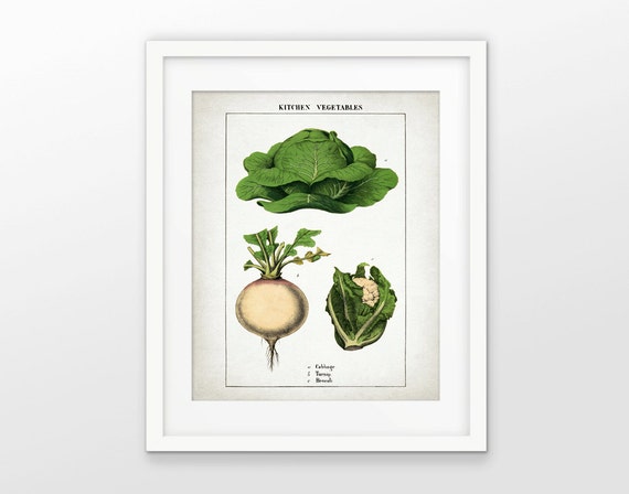 Vegetables Art Print