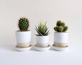 Set of 3 Ceramic Planters & Saucers - White Quail, plant pot for succulent and cactus, plant holder, gift, decoration, ceramic pots