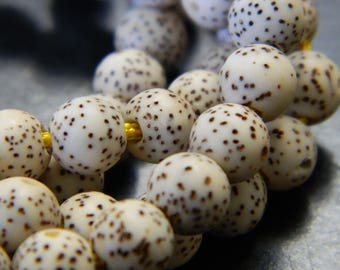 Natural Round White Lotus Bodhi Seed Beads From Tibet - Tibet Lotus Bodhi Seed Mala Prayer Beads - 108+6 Beads Per Strand