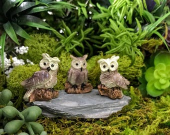 Miniature Owls - Set of 3