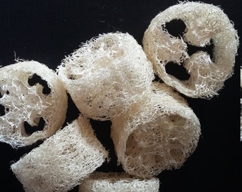 Organic loofahs