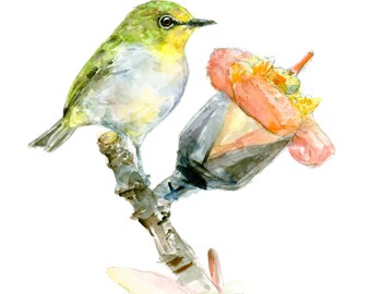 Japanese White-eye watercolor painting - bird watercolor painting - 5x7 inch print - 0084